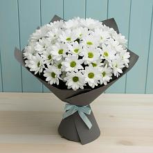 Букет цветов из:  Хризантемы #REPLACE_PRED# Онгудай