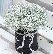 Цветочная композиция из Гипсофила в шляпной коробке #REPLACE_PRED# Онгудай