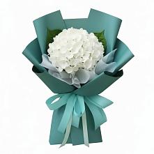Букет цветов из:  Гортензия в Онгудай